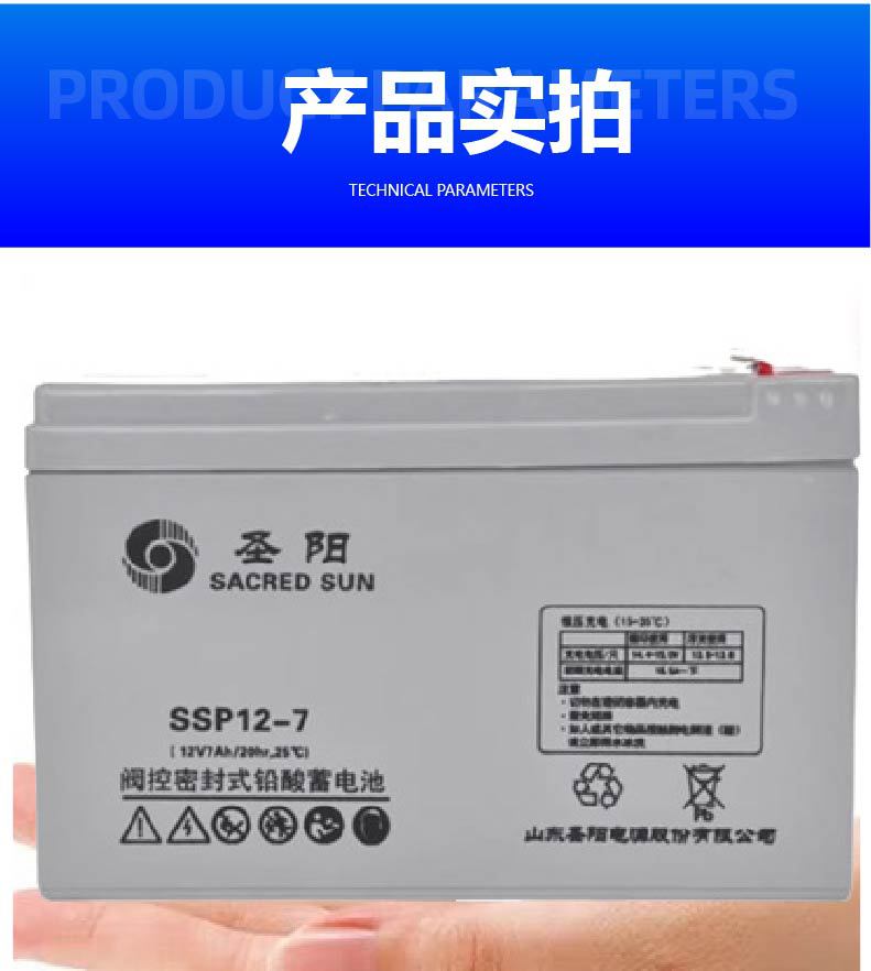 圣阳SP12-100阀控密封式铅酸蓄电池24 38 65 120 200 12V100AH FR详情7