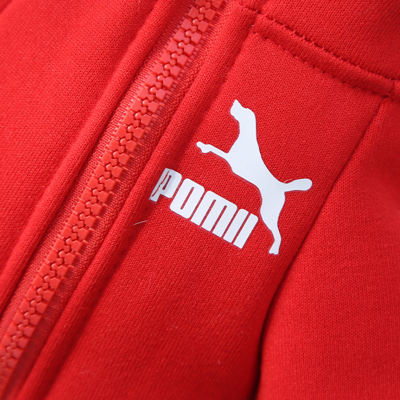 Ropa para mascotas otoño invierno calor marca de moda sudaderas letras fardoubi oso perro gato pequeño medio grande perro suministros pic 5