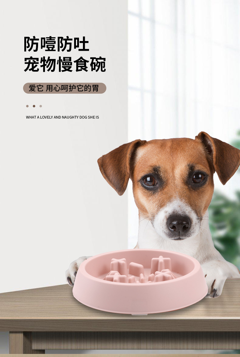 Rongka Pet Cross-border Pet Bowls for cats and Dogs, anti-choking and anti-vomiting slow food bowls, multi-color small and medium-sized dog feeding slow food bowls pic 1