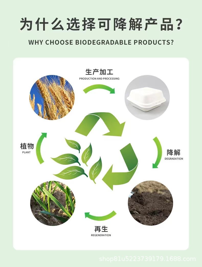 新款纸浆便当网红蛋糕盒饭盒一次性纸盒6寸舒芙蕾画画汉堡盒批发详情11