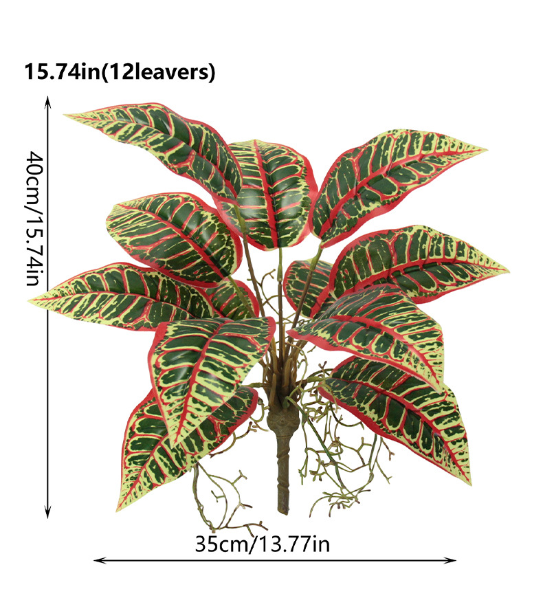 Indoor ornamental small potted plants with green leaves and red edges, succulents, flowers and green plants pic 2