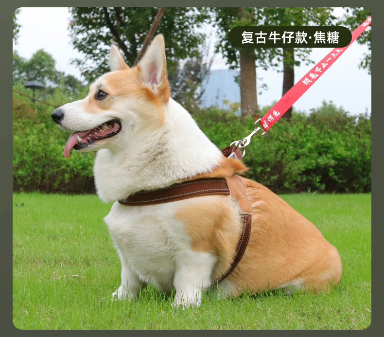 Dog leash saddle-style pet chest and back strap, breathable and reflective dog chest and back pet leash, dog leash wholesale pic 22