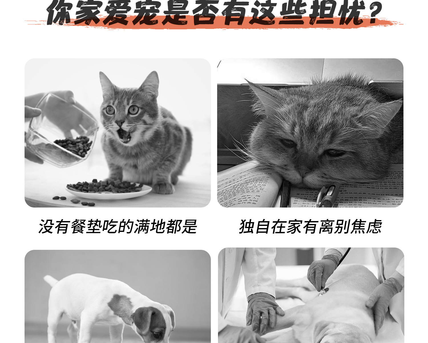 Silicone pet suction cup licking mat, placemat, anti-stain slow food plate, dog slow food pad, dog licking mat, slow food training pad pic 5