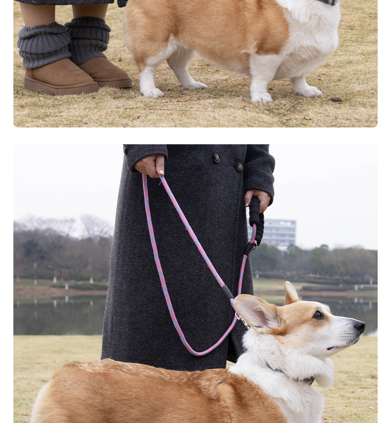 Dog leash, colorful nylon reflective round rope, large dog explosion-proof p rope, dog leash, medium and large dog leash pic 12