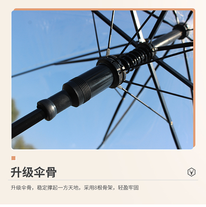 Creative and fresh long-handled transparent umbrellas, colorful straight-pole transparent umbrellas, automatic wholesale, logo advertising gift umbrellas pic 25