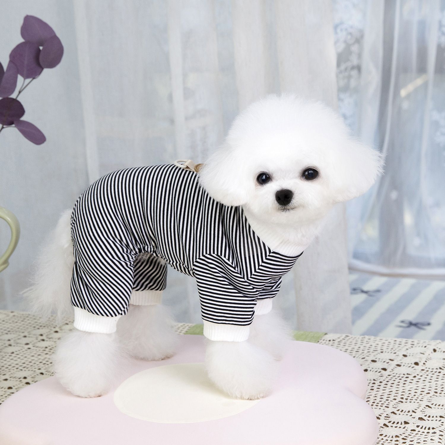 Pet clothes, Teddy dog clothes, pet clothing, cute and fashionable Korean version 25BOOK bear home wear pic 7