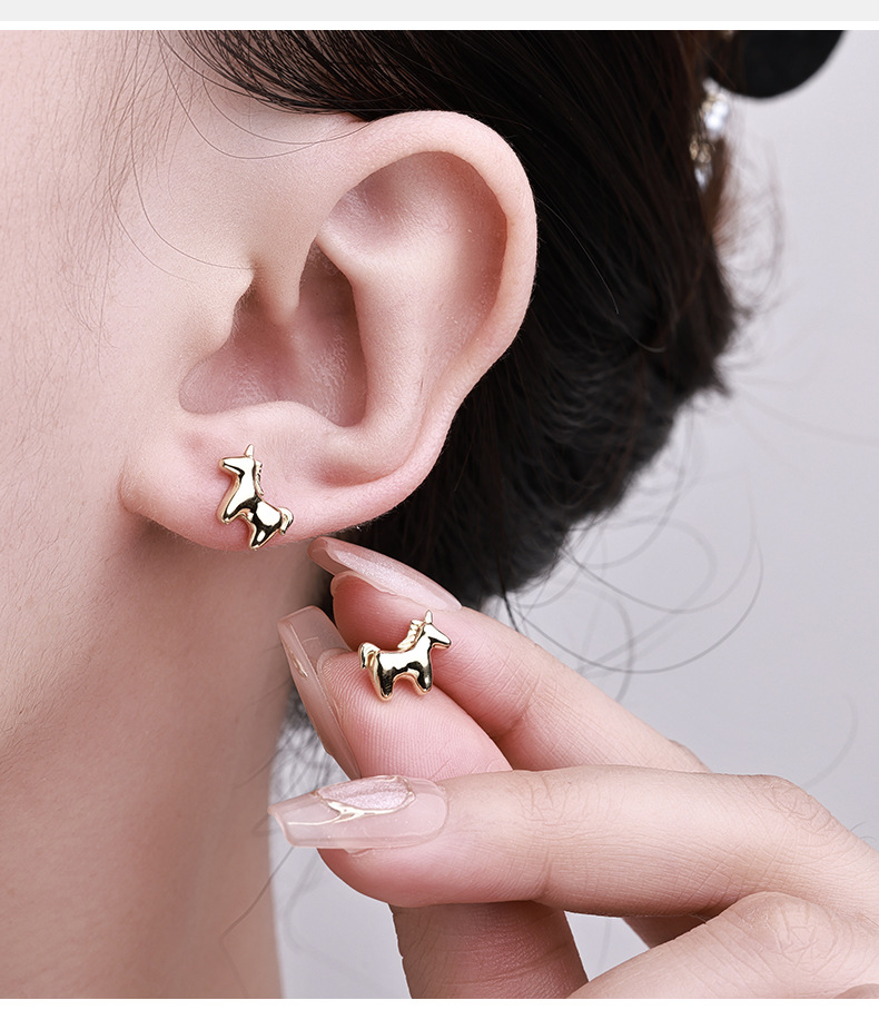 Zhuoheng Select New AliExpress earrings, European and American cross-border S925 silver inlaid hip-hop style stud earrings, high-end and light luxury earrings pic 8