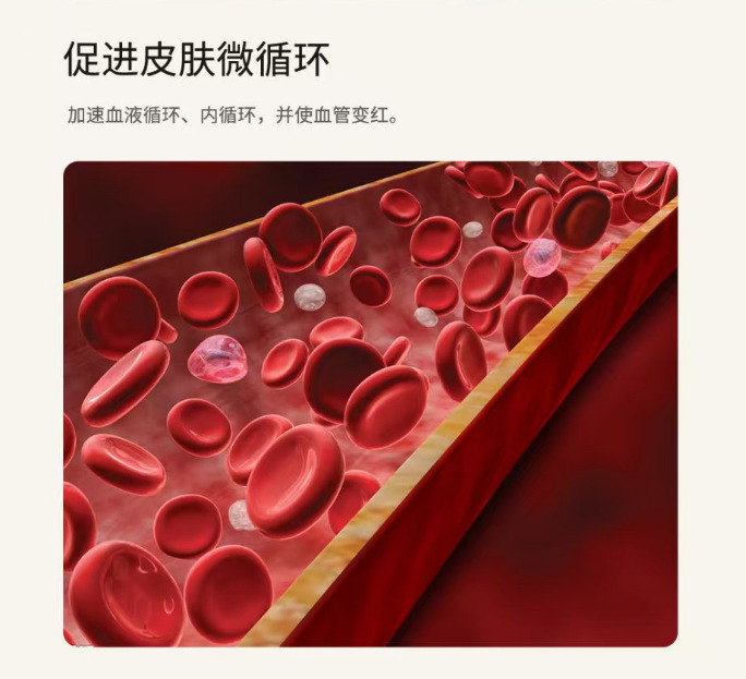S-5188LED多功能手电筒脸部按摩器详情2