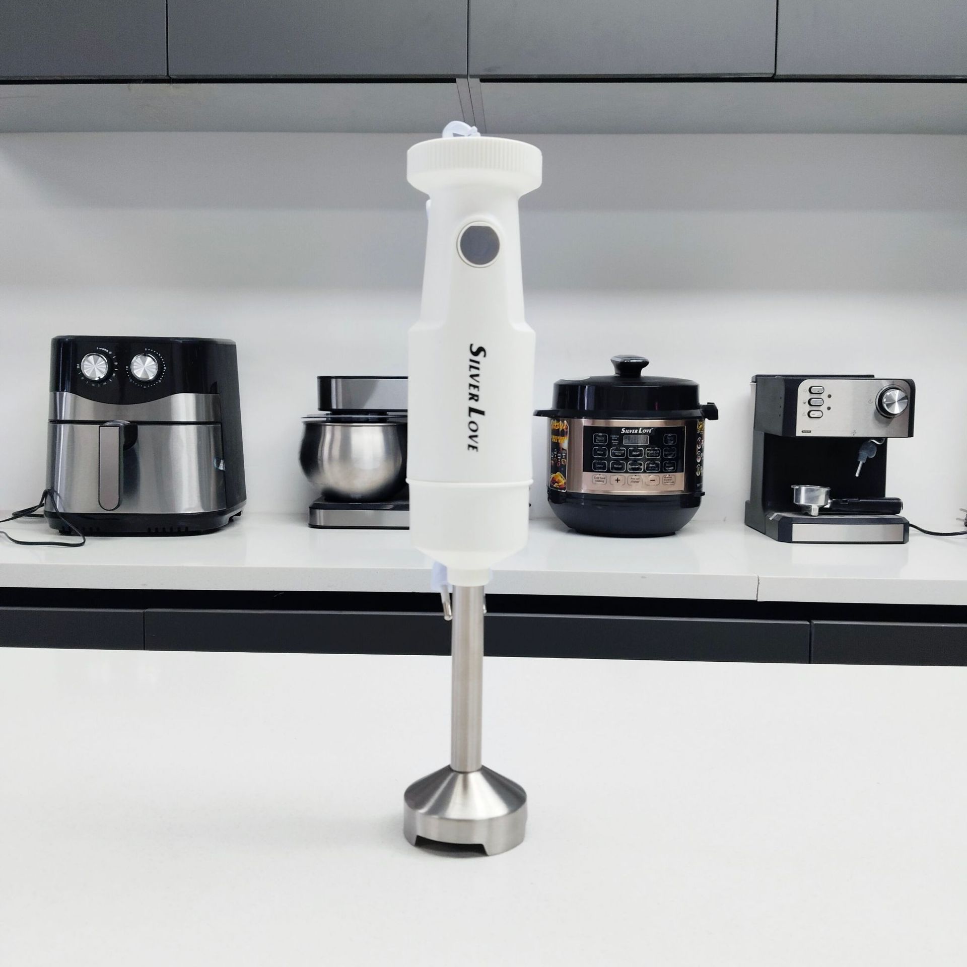 Cross-border foreign trade portable multi-functional food processor, baby food cooking stick, European standard household handheld electric 2-in-1 Z209 pic 11