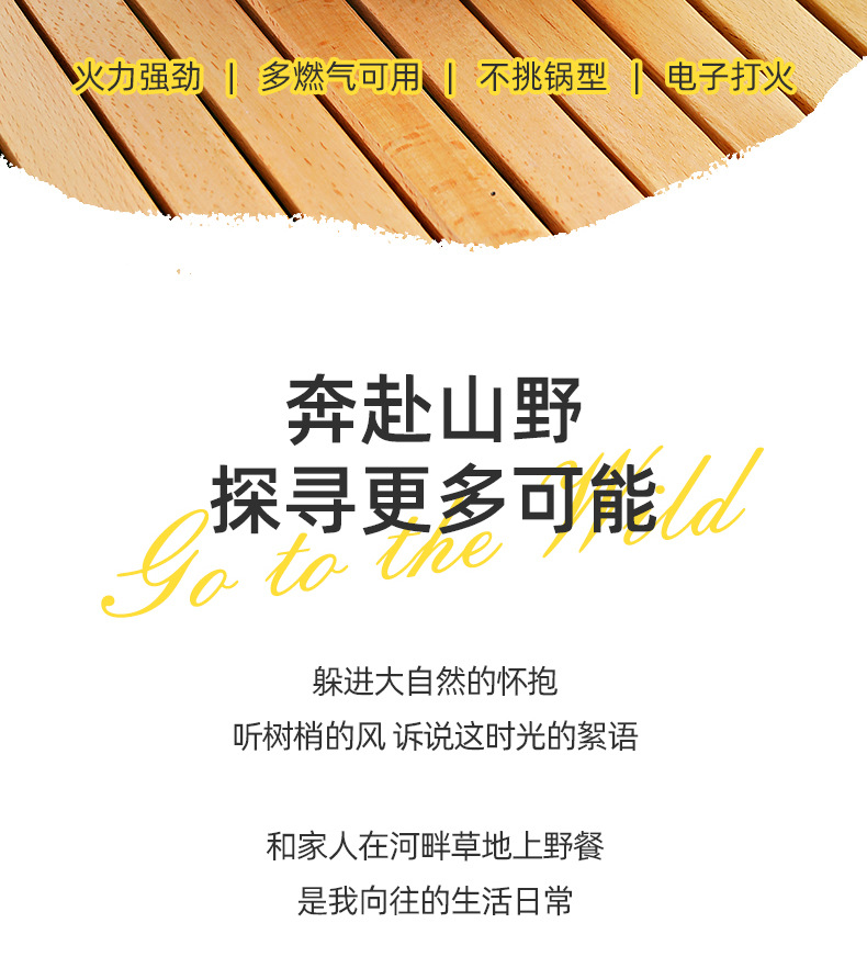 七星灶猛火炉便携式卡式炉户外炉灶野外燃气灶露营家用煤气灶炉头详情3