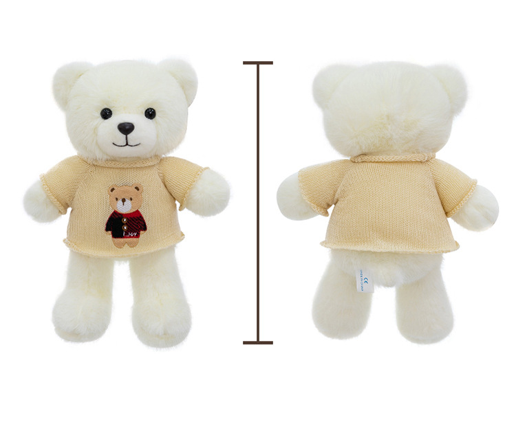毛衣泰迪熊公仔毛衣百变小熊毛绒玩具情人节送女生布娃娃礼物熊送详情7