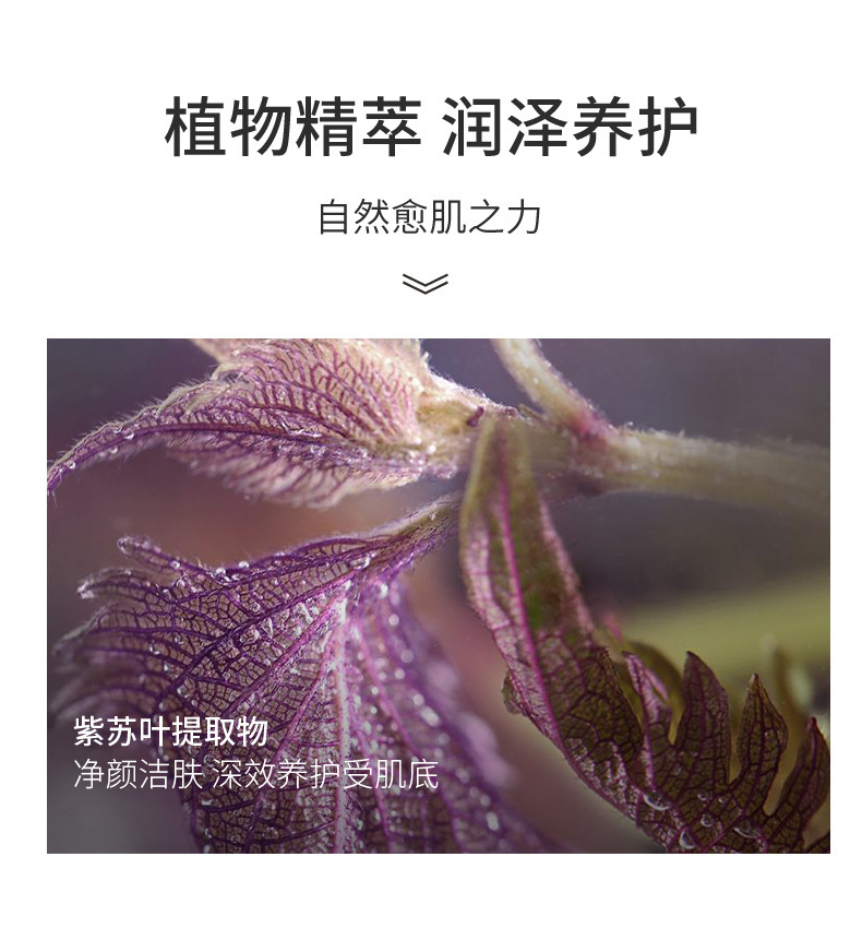 Perilla amino acid facial cleanser, a gentle and non-irritating oil-control facial cleanser for men and women, wholesale of high-end skin care products pic 7