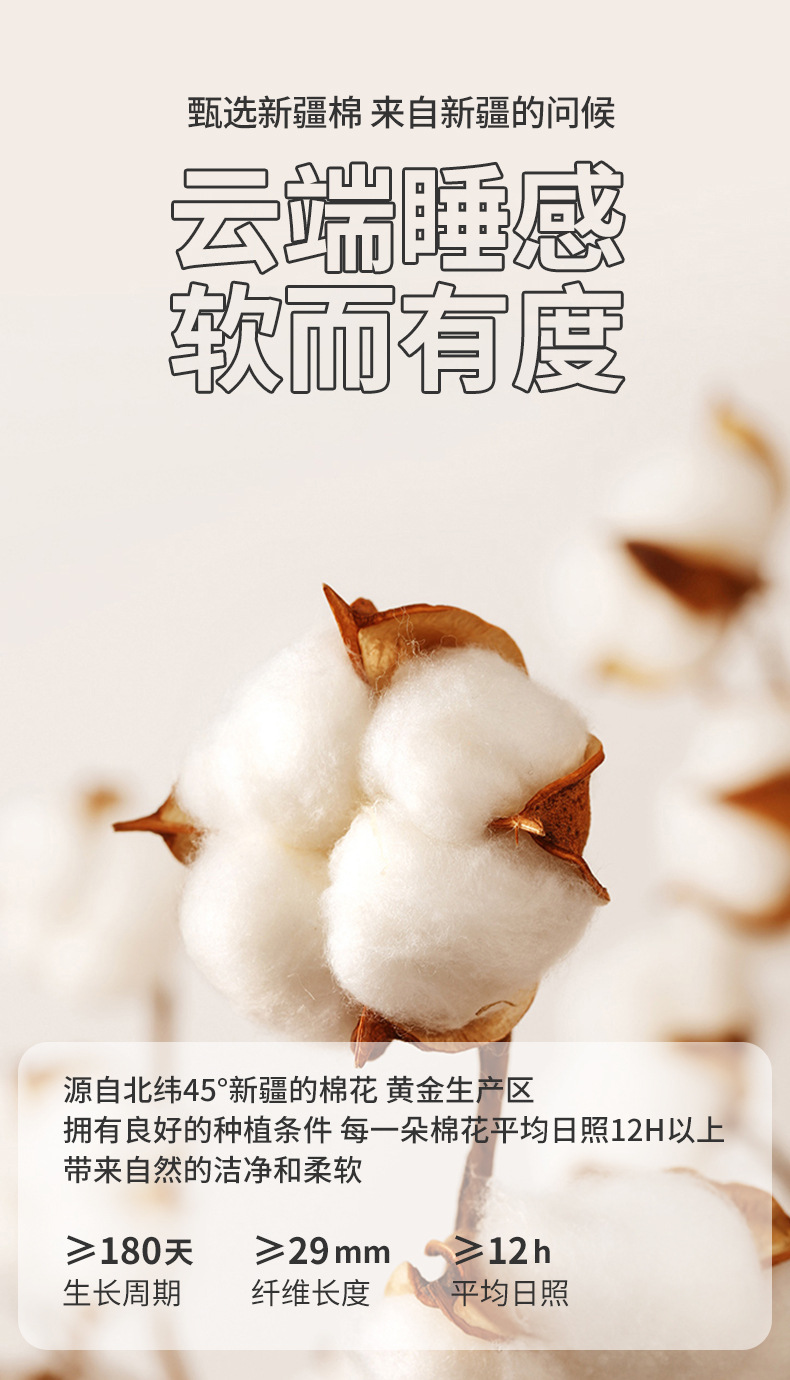 2024新款新疆棉花被加厚被子保暖冬被单人春秋被双人棉被学生被详情2