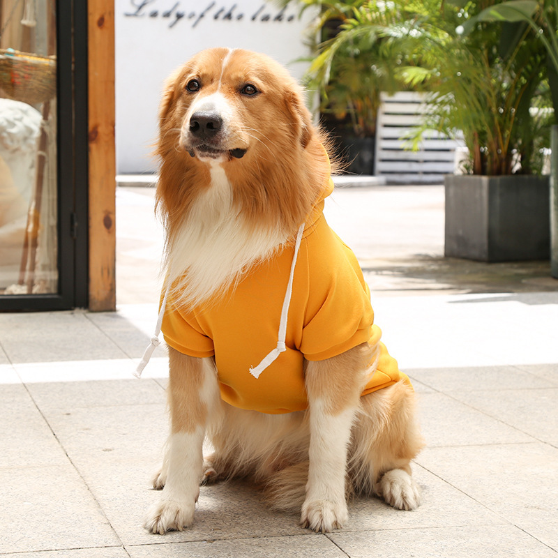 Otoño e invierno peluche de oro cremallera de bolsillo sudaderas grandes y medianas para perros perros ropa de gato fardo suministros para mascotas pic 21