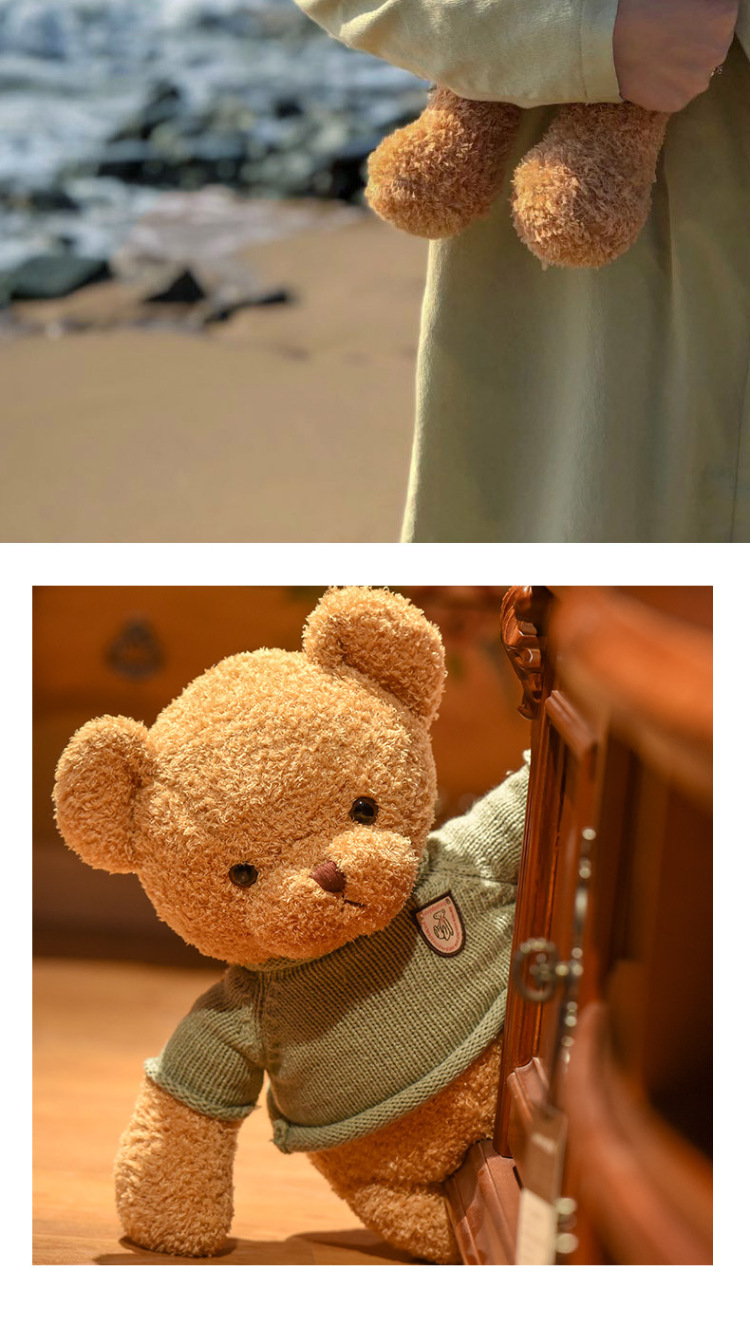 可爱抱抱熊泰迪熊公仔玩偶陪睡穿衣小熊布娃娃毛绒玩具礼物批发详情6