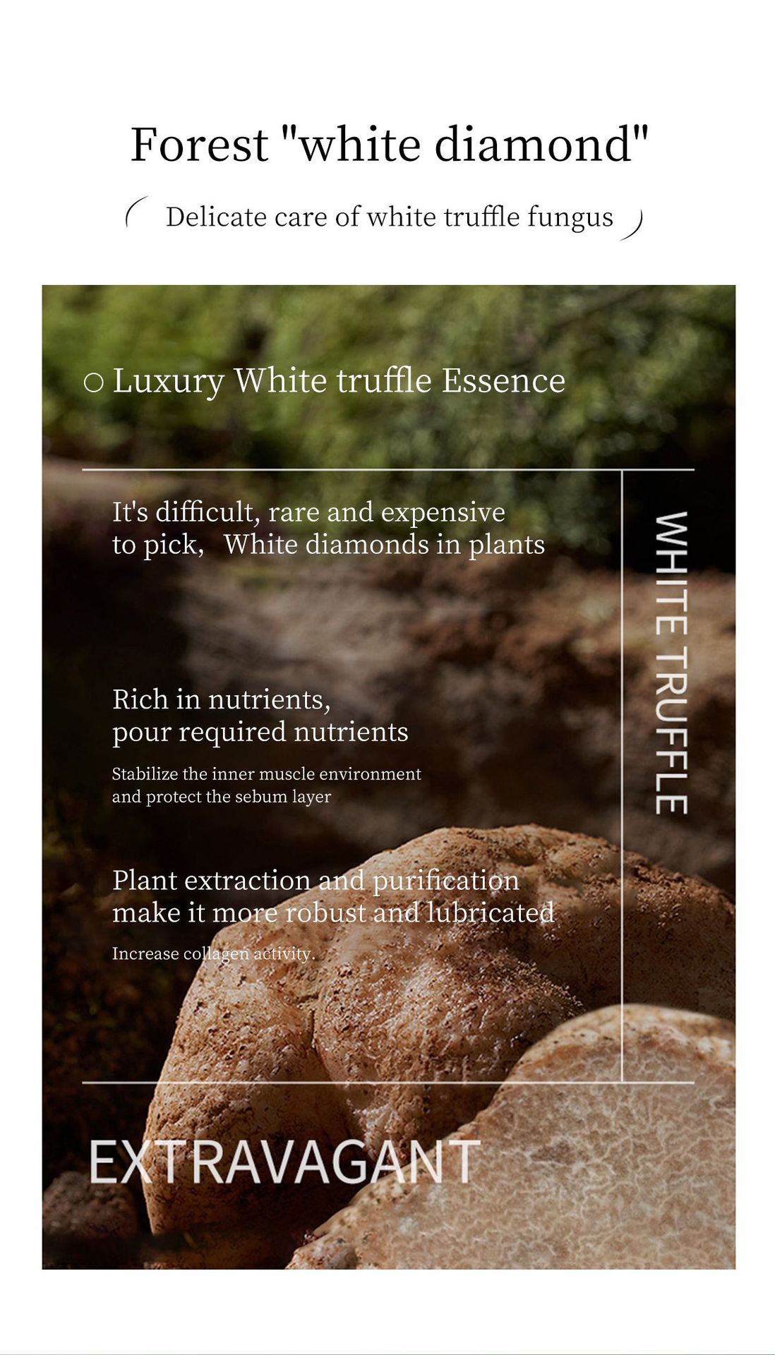 LMLTOP氨基酸润肤香氛沐浴露550ml跨境专供VNLML2110详情10