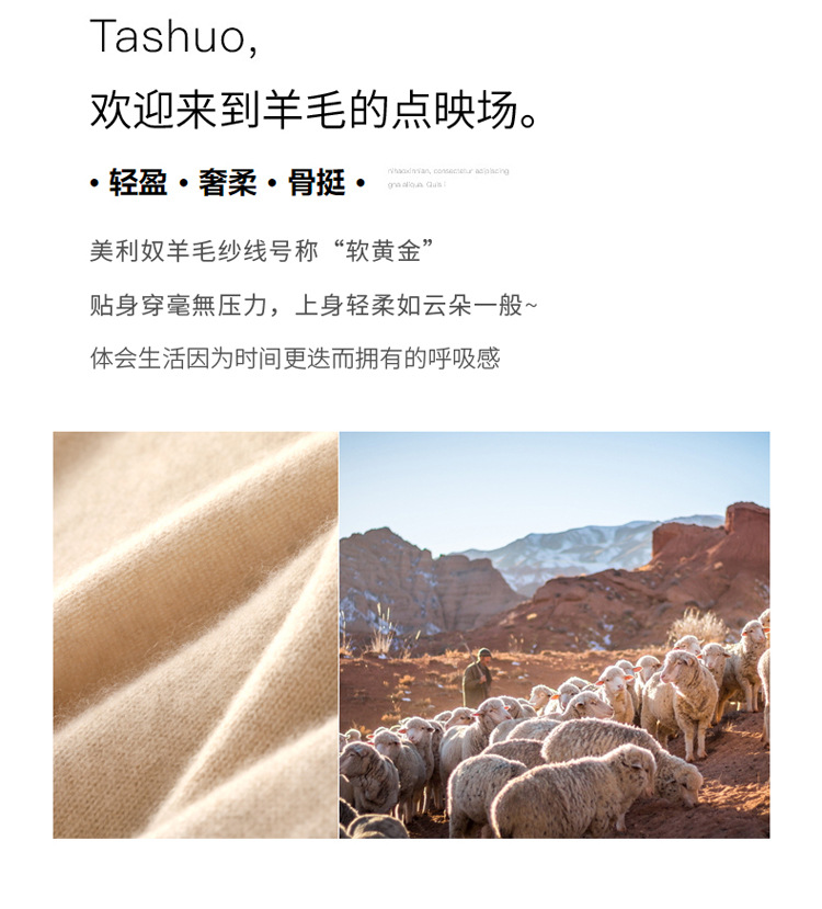 100%纯羊毛衫一线成衣新款女半高领套头毛衣女纯色宽松打底针织衫详情2