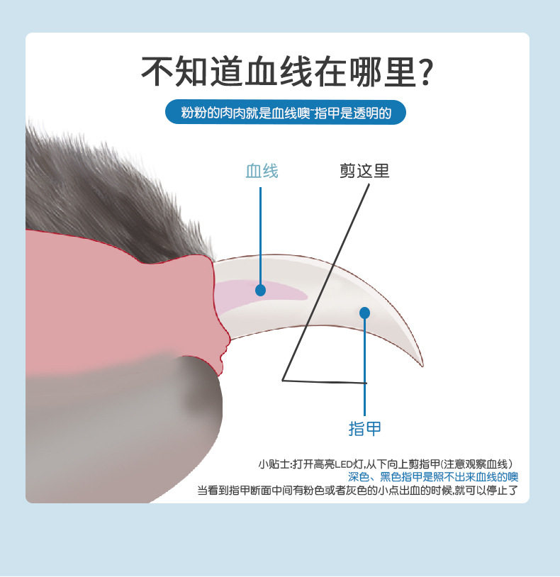 宠物指甲剪美容清洁用品LED灯光防血位猫咪磨甲器狗狗指甲钳详情8