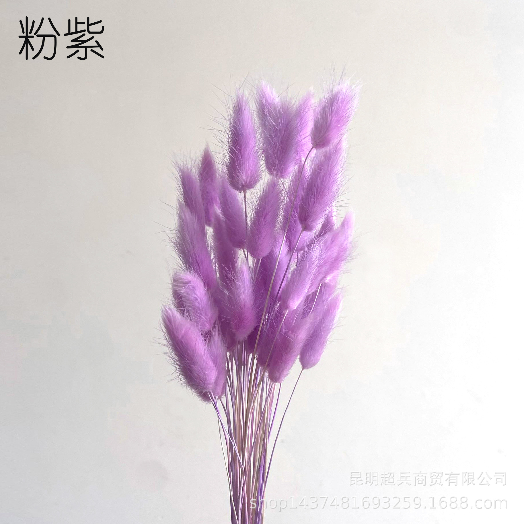 QQ图片20210611113510.jpg