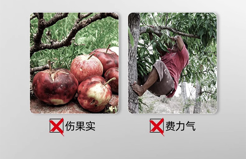 High-altitude telescopic fruit picking shears, fruit pickers, fruit pickers, tools for picking persimmons, lychees, longans and loquats, tall branches pic 6