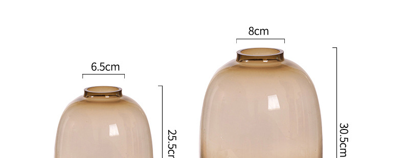 高级感花瓶摆件玻璃水培吊钟雪柳马醉木水养插花鲜花客厅落地装饰详情19