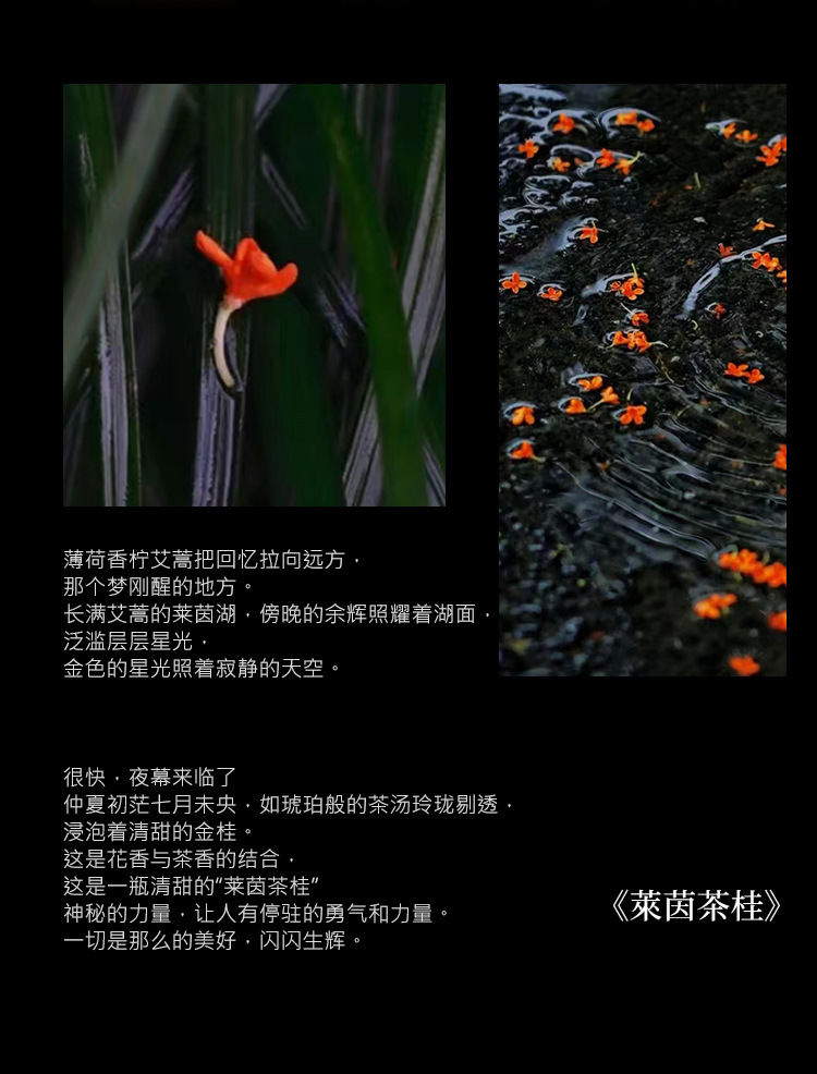 暖檬莱茵茶桂焚香黑茶香水女士清新持久淡香小众跨境批发详情8