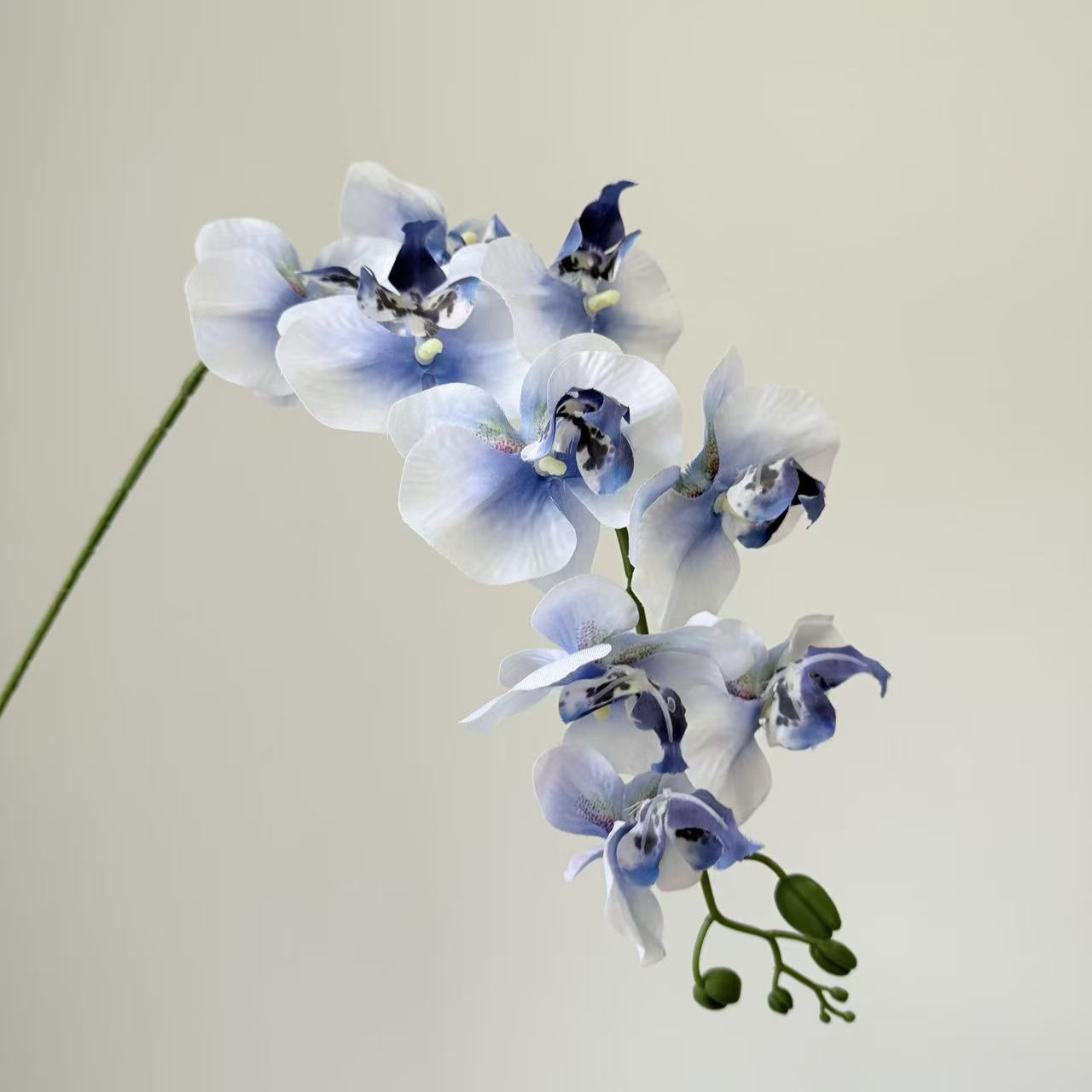 9头蝴蝶兰仿真花手感高级感逼真假花兰花艺场景布置酒店婚庆用花详情23