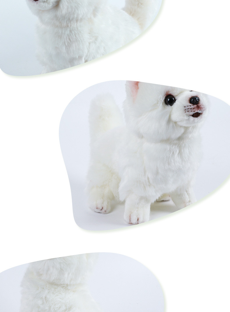 仿真博美公仔毛绒玩具小狗狗玩偶狗狗服装模特摄影摆件道具玩偶详情4