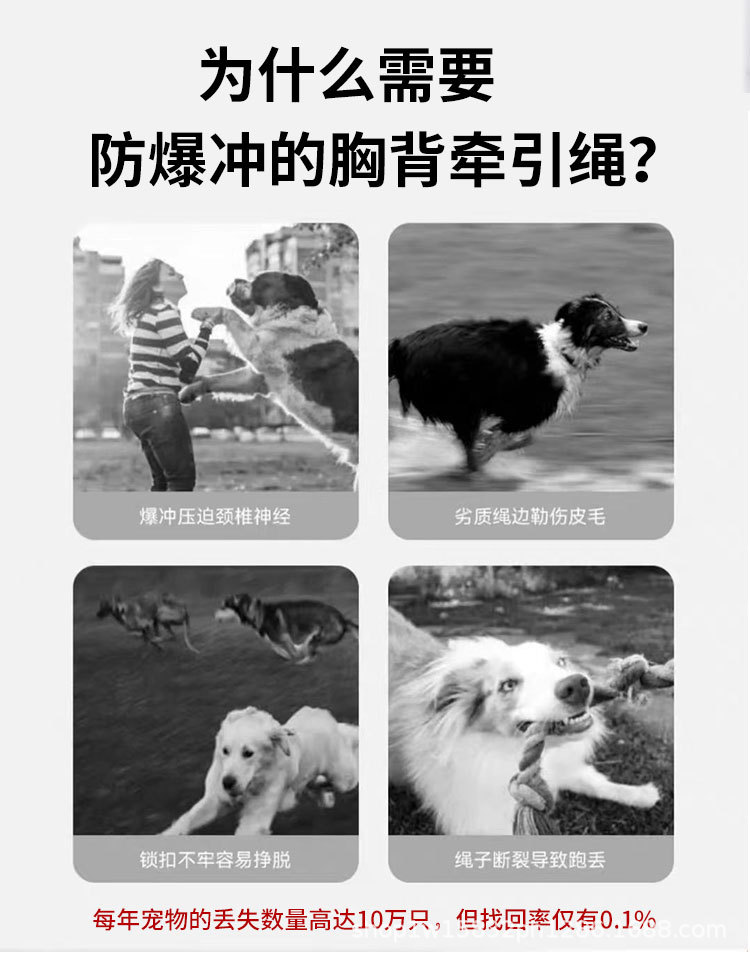 Medium and large-sized dog leashes, pet chest and back straps, leashes, universal dog leashes, portable pets pic 2