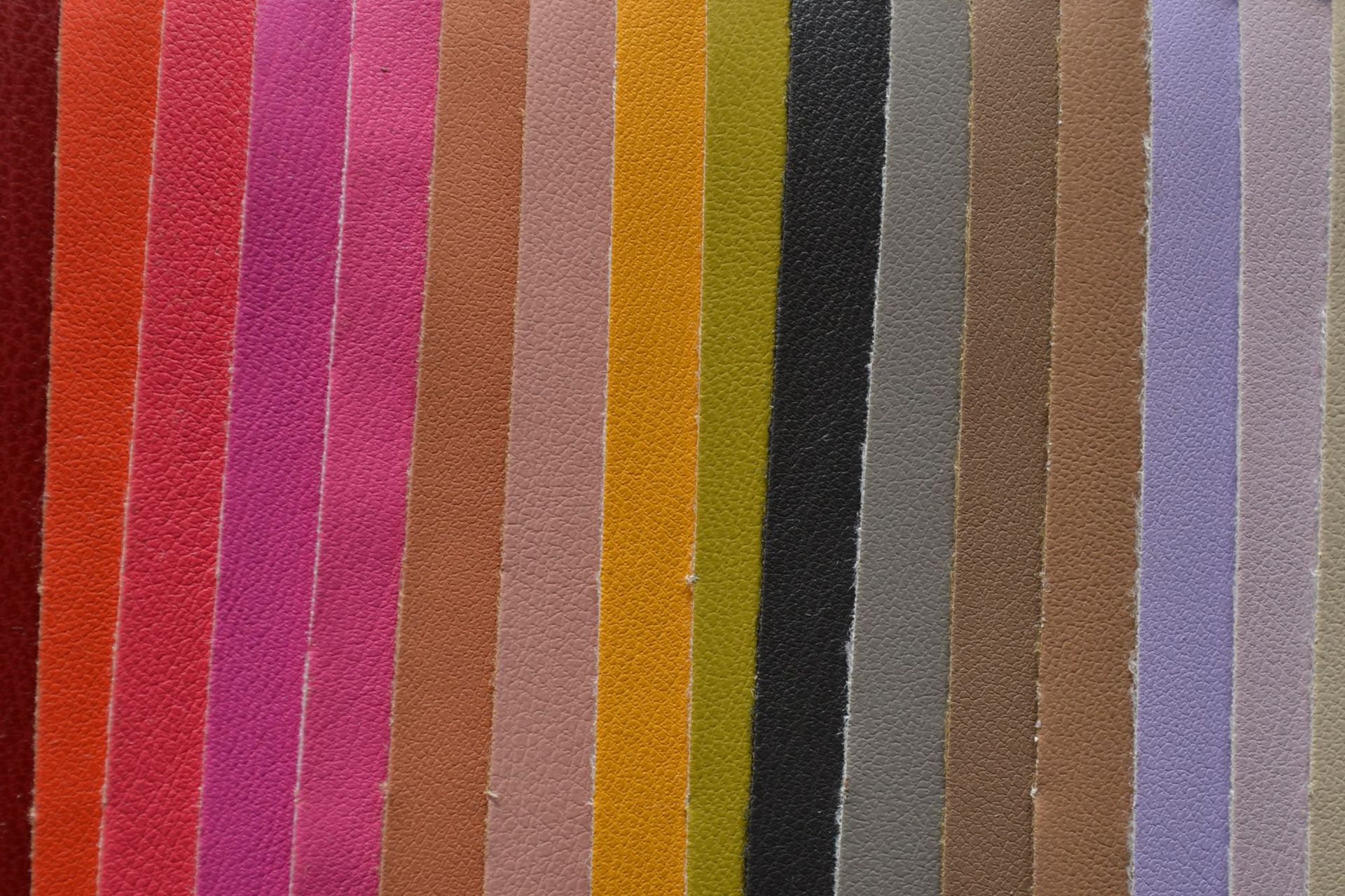 DSC_0037.JPG