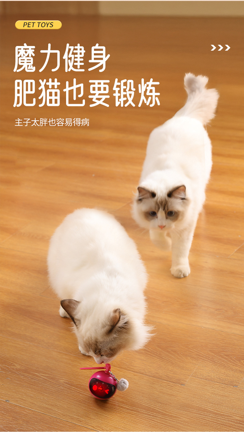 Cross-border pet electric balls, cat toys, automatic cat teasing balls, self-entertaining and entertaining cat teasing balls, pet toys with birds calling pic 7