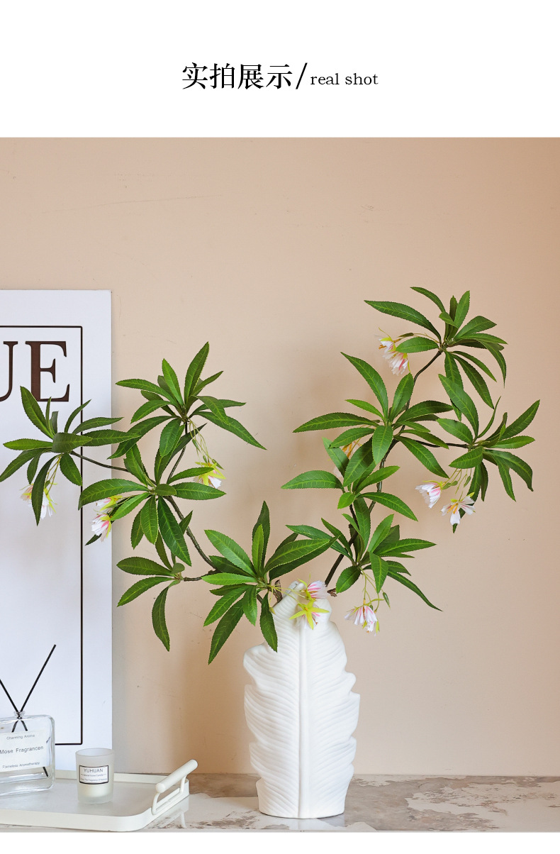 水石榕仿真单枝3D打印现代家居软装插花绿植宠物园艺水培生态瓶详情16
