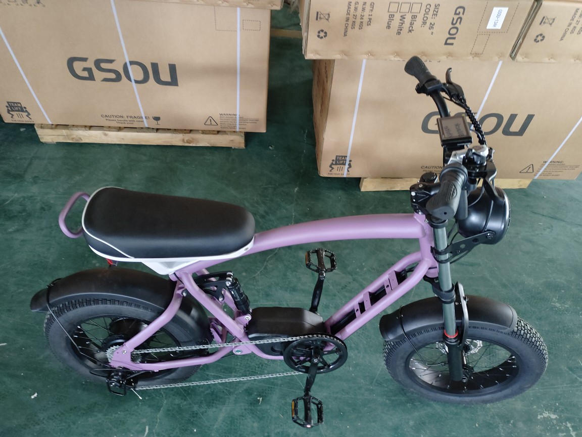 New energy smart ebike, fat tire lithium battery-assisted bicycle, electric snowmobile, off-road beach buggy pic 4
