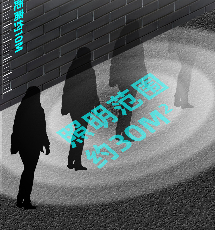 定制太阳能璧灯太阳能路灯旋转分体防水路灯人体感应道路照明庭院详情14