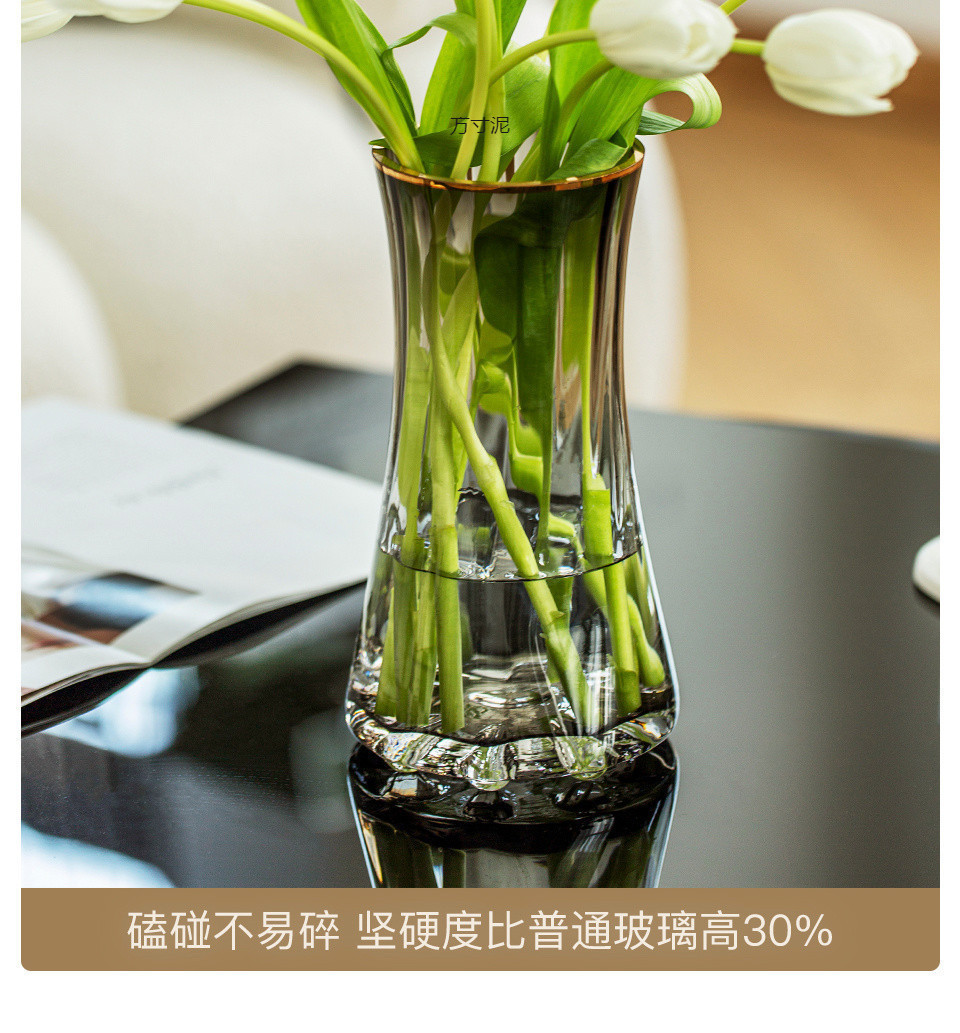 简约轻奢加厚ins风透明玻璃花瓶水养富贵竹鲜花插花客厅摆件批发详情14