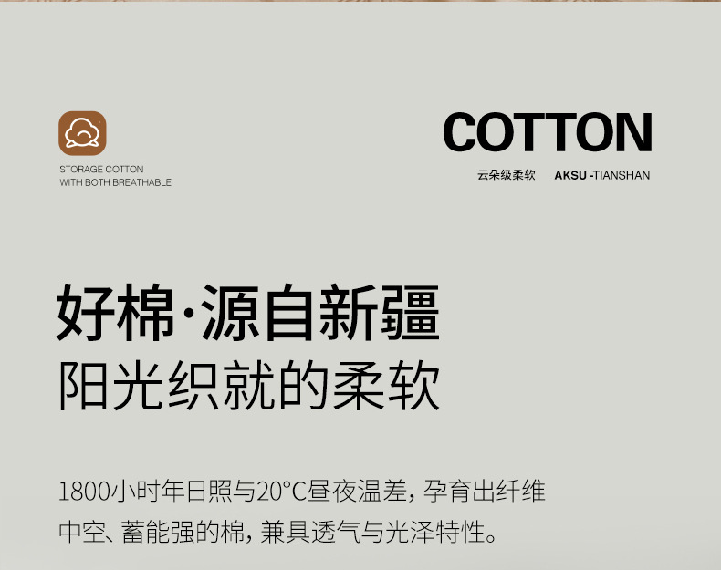 2025 New Class A pure cotton, all-cotton brushed autumn and winter four-piece set with a light luxury and high-end feel for the master bedroom bed sheet and duvet cover pic 9