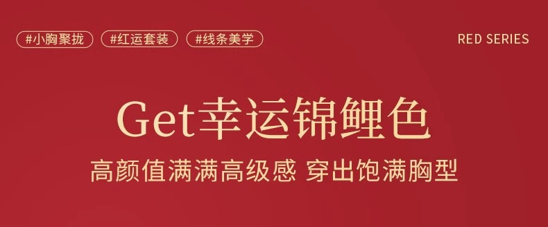 广东汕头内衣女士无钢圈聚拢小胸罩收副乳防下垂平胸显大文胸套装详情1