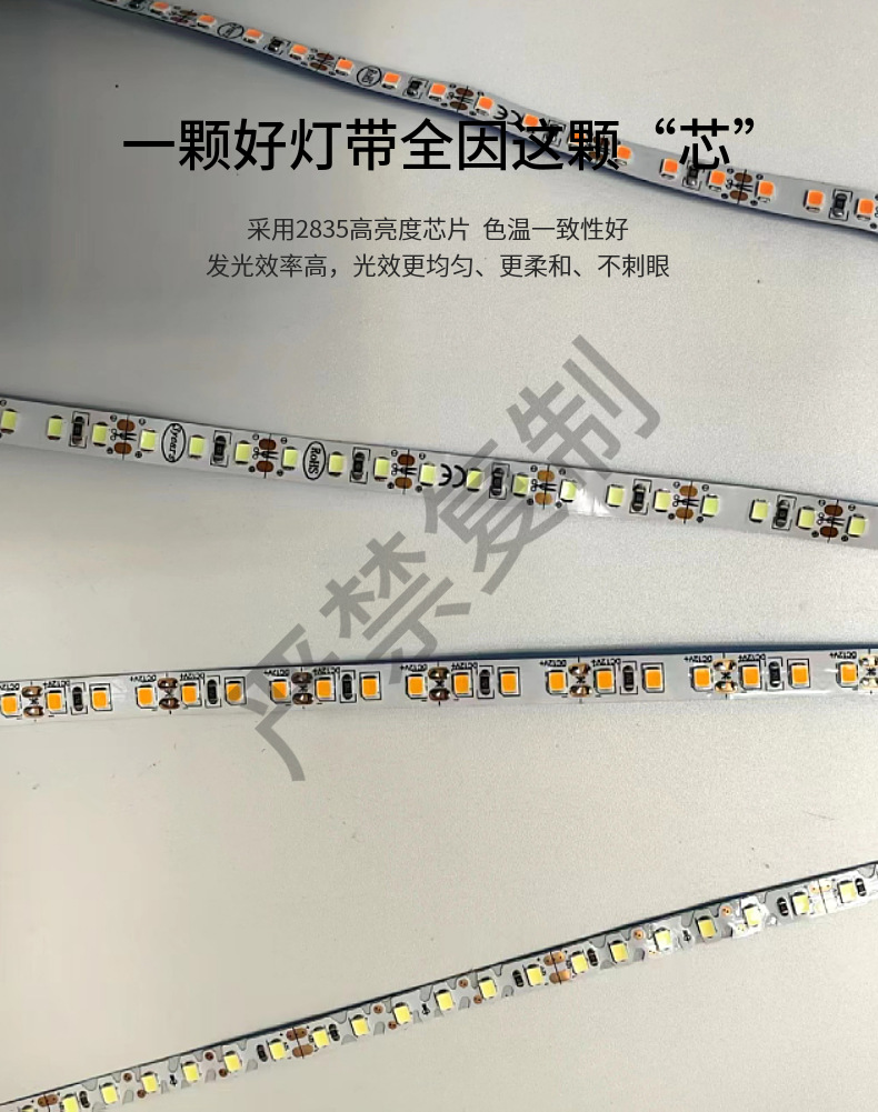 工厂直销12V 24v2835 240灯双排15宽低压软灯条 电镀板高亮度线条详情7