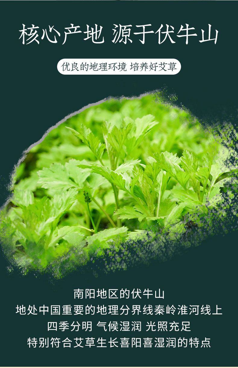 陈年艾叶_03.jpg