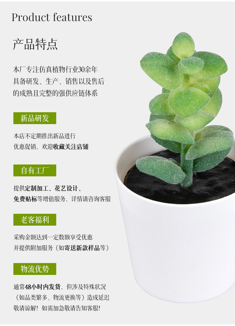 植绒硬料小芦荟迷你盆栽仿真塑料磨砂小盆景桌面摆件礼品仿真多肉详情3