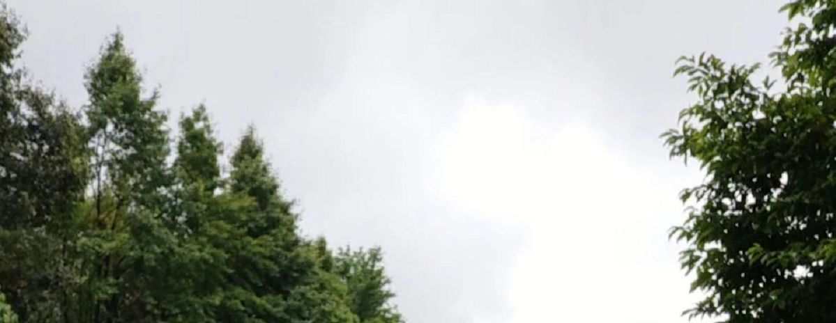 跨境外贸JANSPORT双肩包学生书包男女款背包蝶漾青漾雾霾蓝可代发详情24