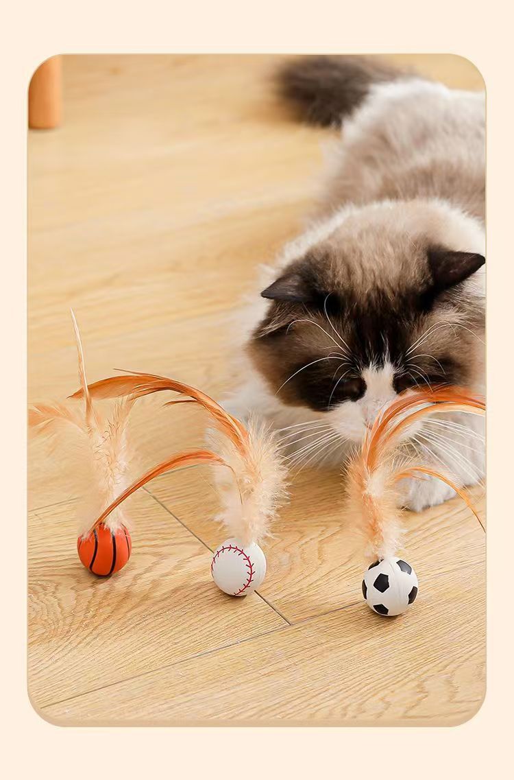 跨境新款猫咪弹力羽毛球逗猫弹力鸡毛球猫自嗨解闷神器宠物玩具球详情11