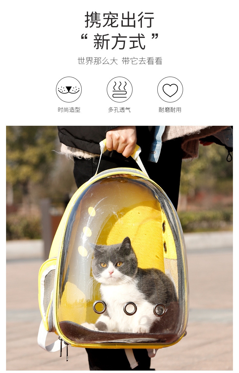 猫包宠物全景猫咪透明双肩包宠物包太空包便携外出太空舱猫背包详情2
