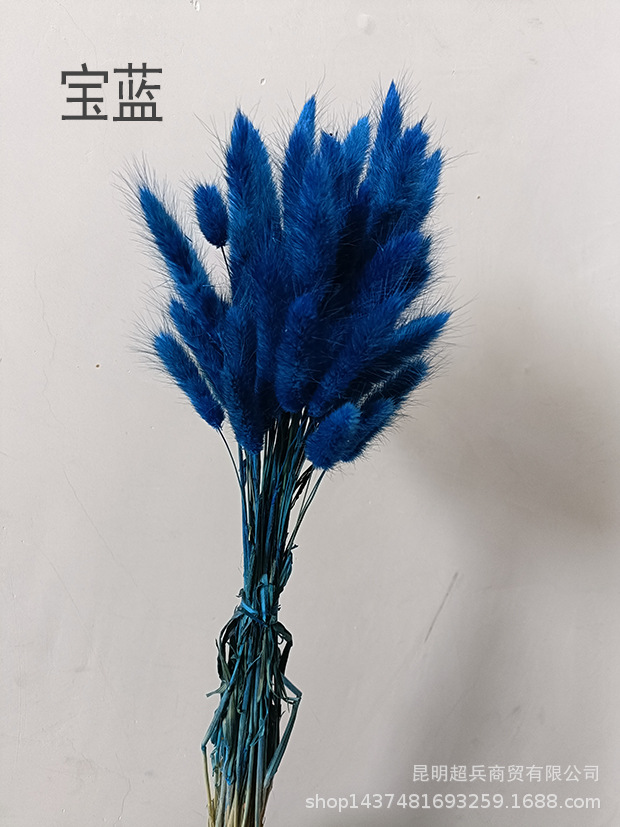 IMG20220503101513.jpg