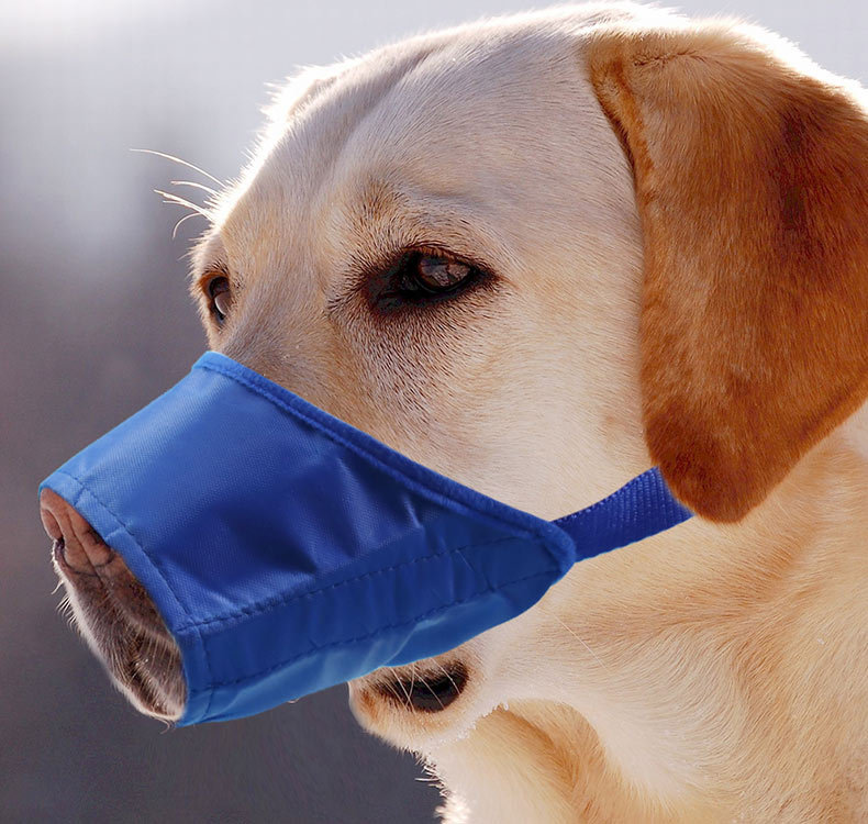 Dog muzzle anti-bite and anti-accidental ingested dog muzzle for large dogs to drink water pet anti-barking device adjustable dog mask wholesale pic 14