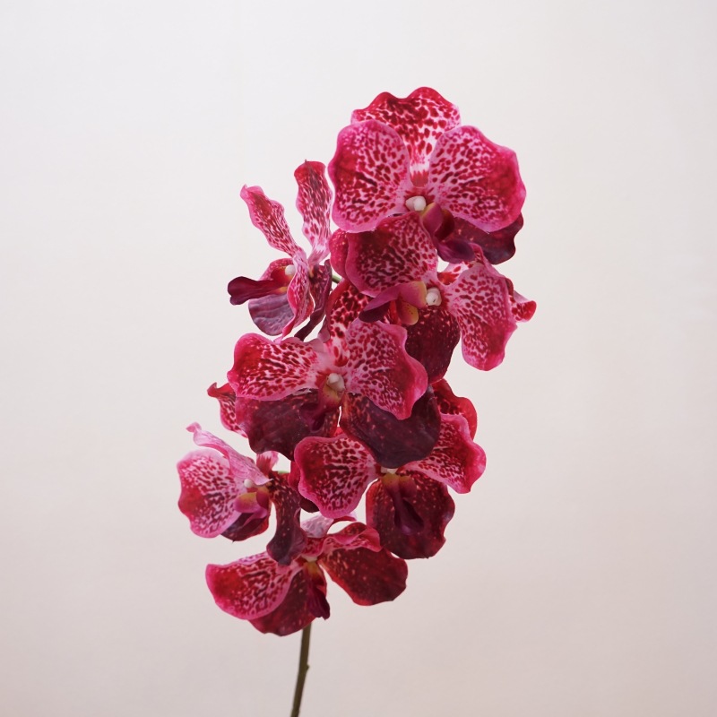 高品质仿真花手感万代兰婚庆家居装饰花软装插花胡姬兰胸花手捧花详情4