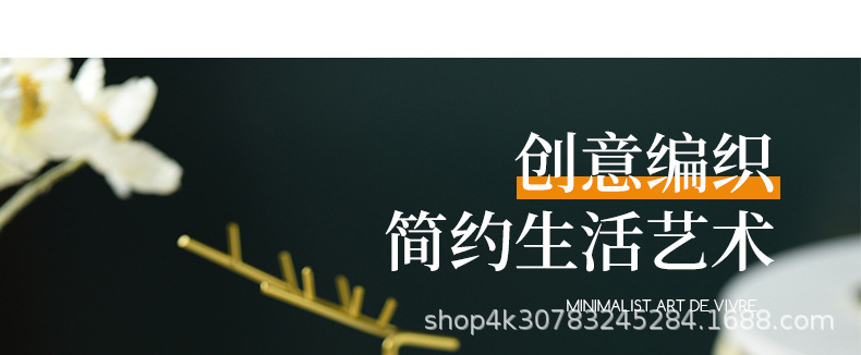 轻奢风水果盘家用客厅茶几糖果盘2024新款零食摆放盘瓜子花生盘子详情13