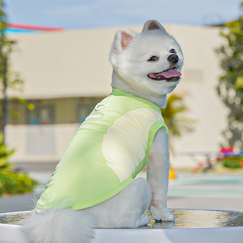 春夏季狗狗用品猫咪冰丝猫背心小中型犬外出防晒狗衣服宠物衣服详情31