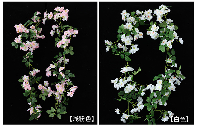樱花_04.jpg