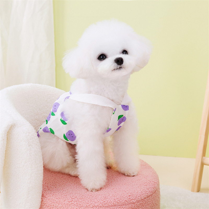 宠物裙子原厂批发春夏新款宠物狗狗猫咪裙子可爱舒适叶子水果裙详情5